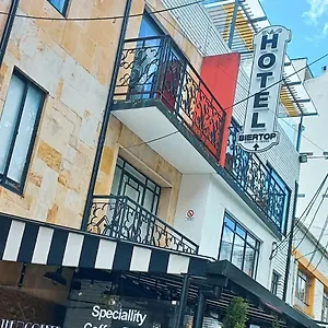  Hotel Mosaic House